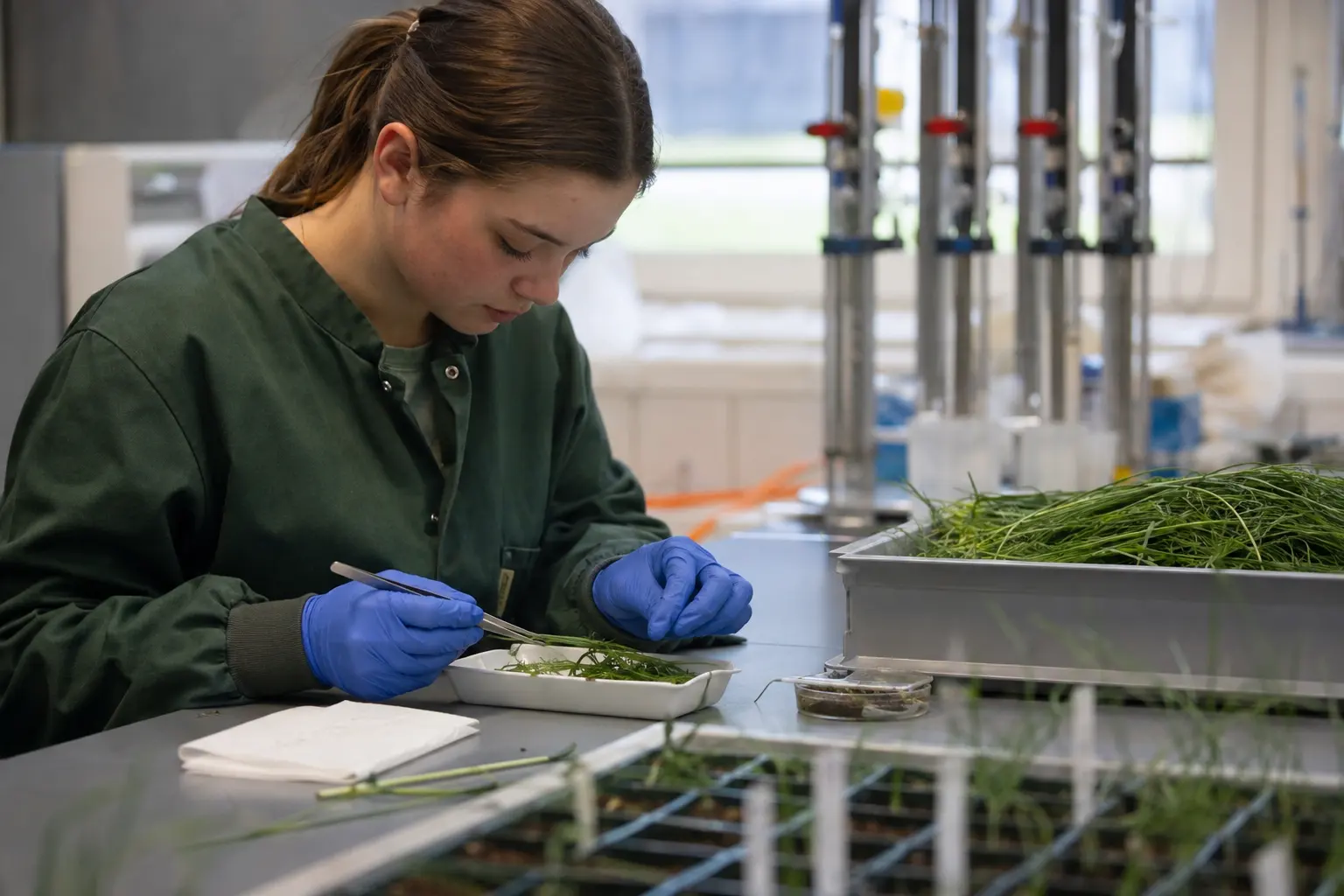 Agrarwirtschaftlich-technische/r Assistent/in: wie man spezifische Arbeitsabläufe in verschiedenen Einsatzbereichen - Stall, Feld, Labor, Gewächshaus - plant,