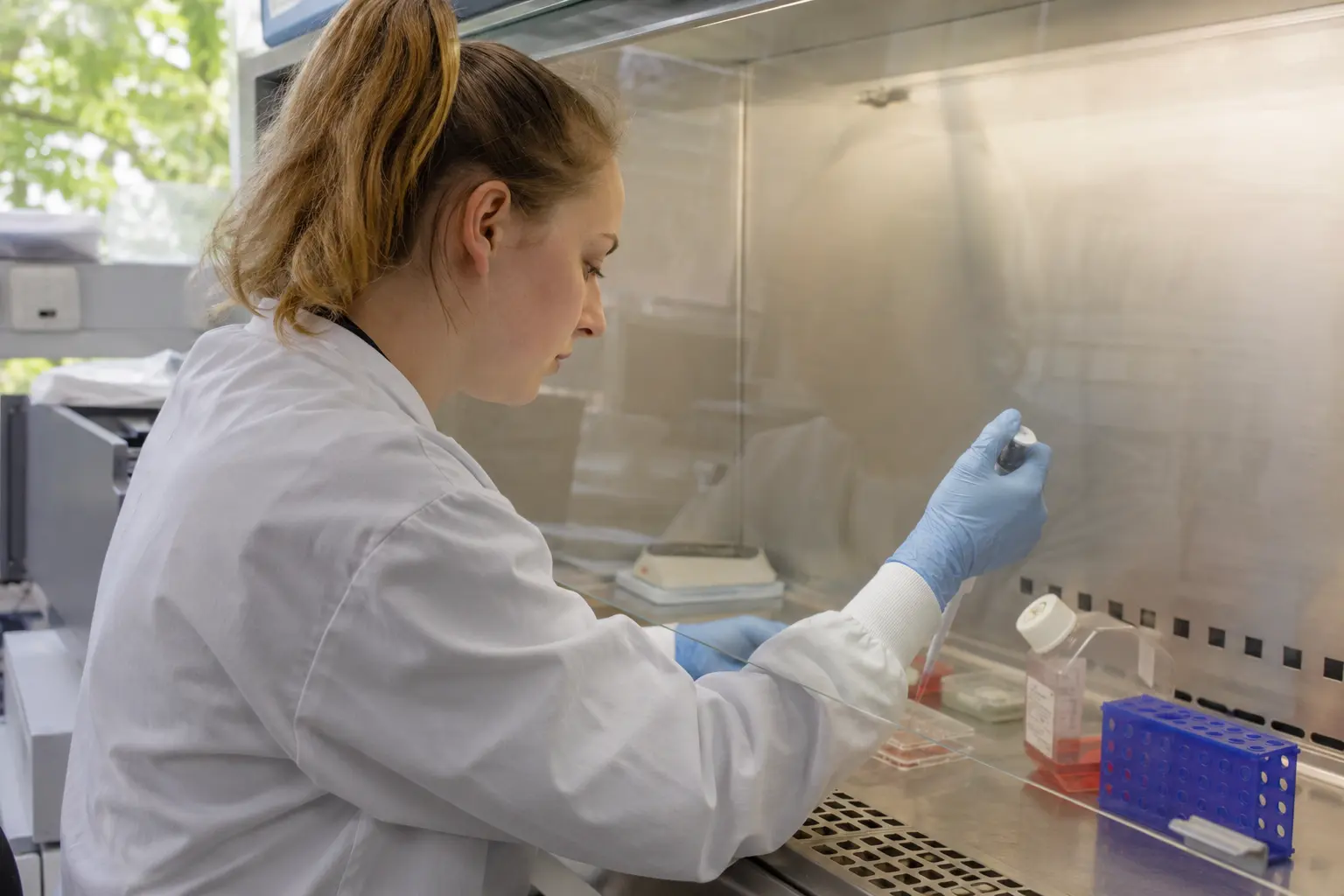 Biotechnologie bei der Arbeit