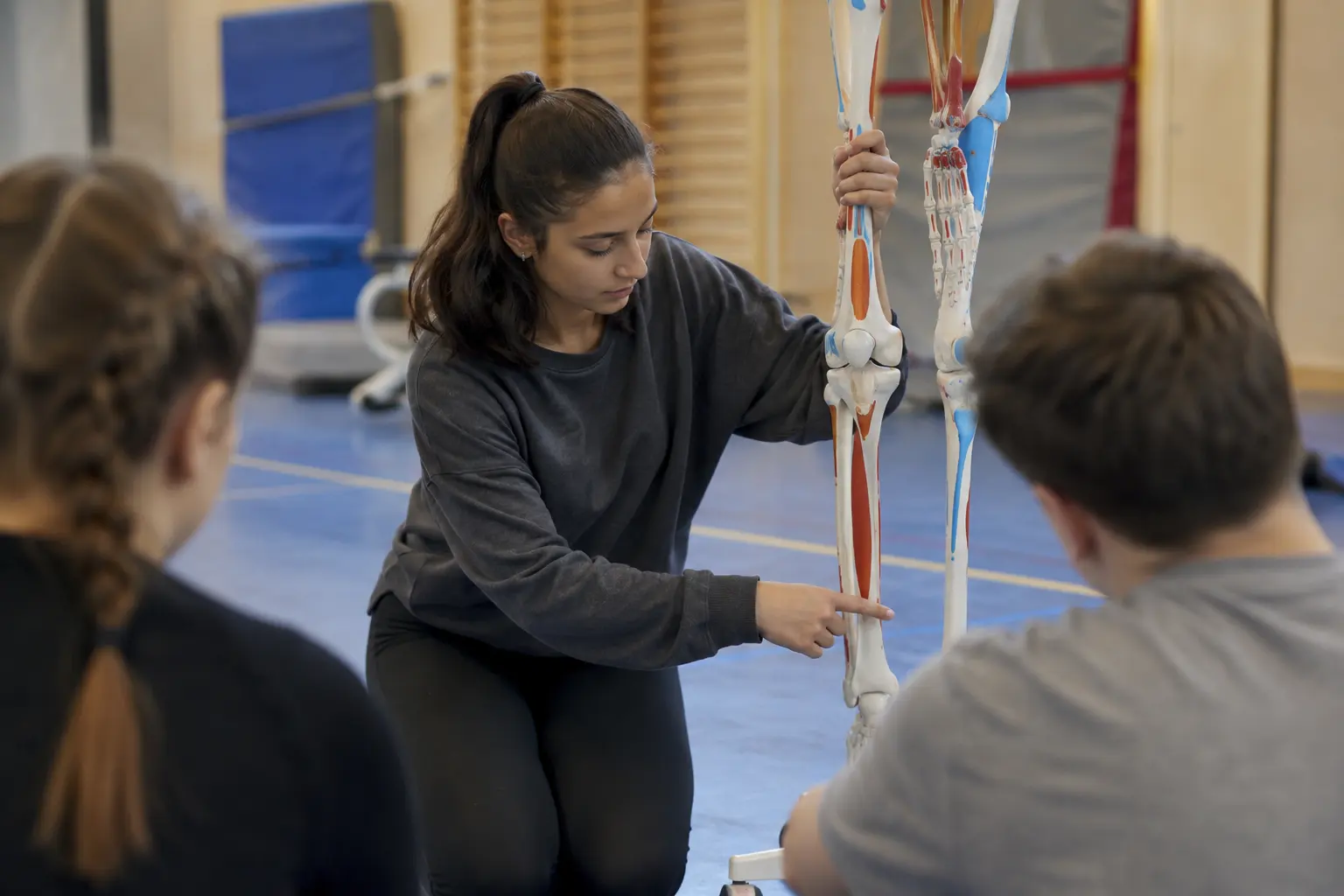 Gymnastiklehrer/in: wie der menschliche Körper aufgebaut ist und funktioniert und zu welchen Verletzungen es beim Sport kommen kann