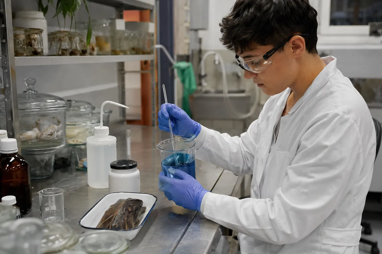 Präparationstechnische/r Assistent/in: welche naturwissenschaftlichen (z.B. chemischen) Grundlagen für die Präparationstechnik des einzelnen Fachgebietes