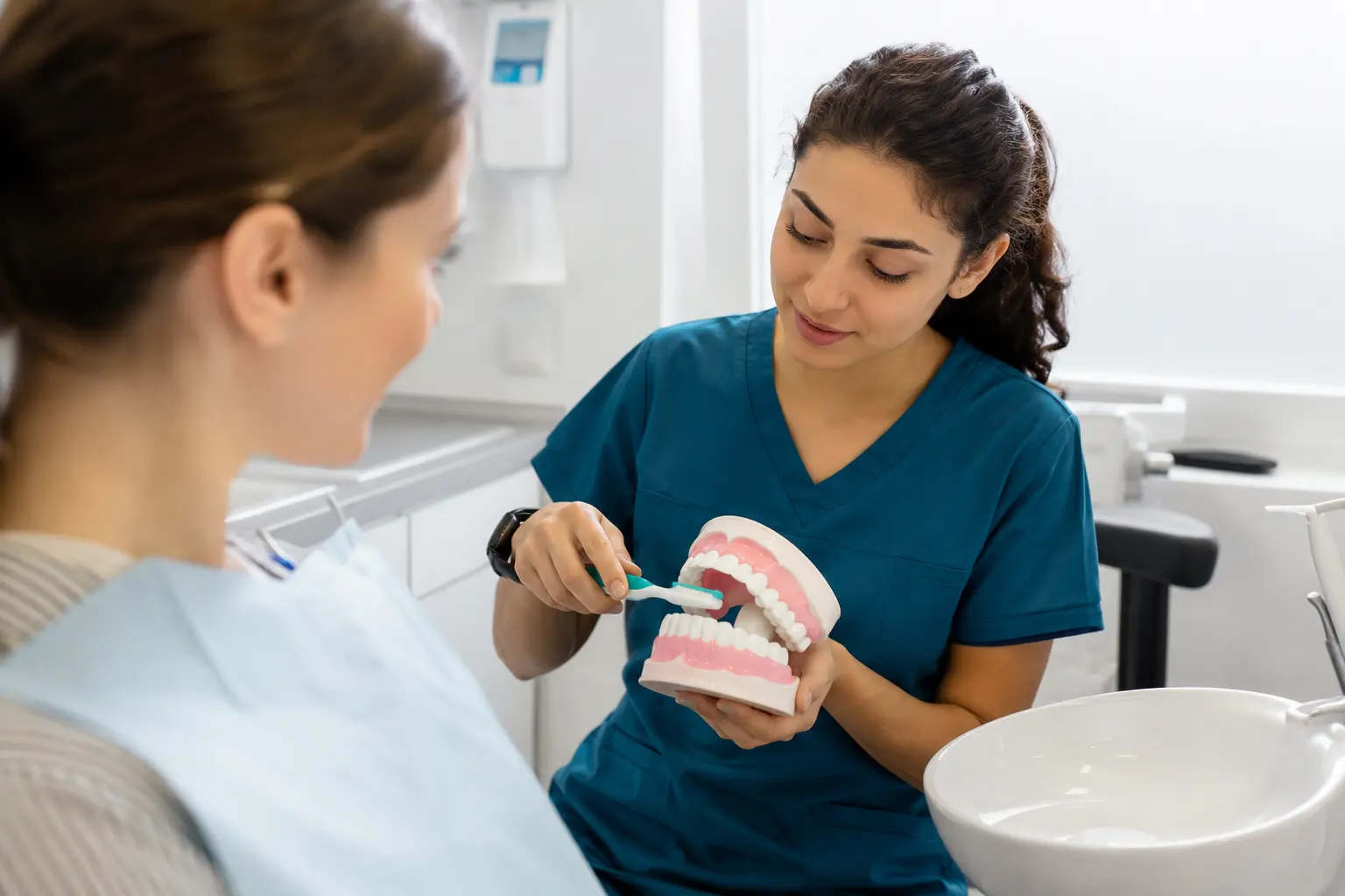 Zahnmedizinische/r Fachangestellte/r: prophylaxe mit Zahnmodell erklären